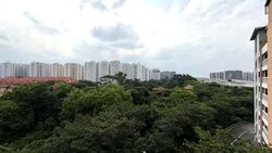 Blk 996A Buangkok Tropica (Hougang), HDB 4 Rooms #603583841